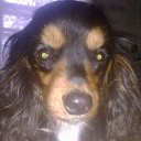 ���� ������, ���������, 53 ���� - ��������� 7 ������� 2015 � ������ ���� ����������