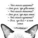 ���� ���, ������ - ��������� 29 ������� 2016