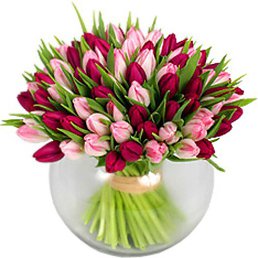 Q, �����������, 29 ���