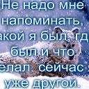 ���� ��������, ������������, 49 ��� - ��������� 12 ������ 2016 � ������ ���� ����������