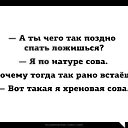 ���� �����, ����, 44 ���� - ��������� 28 ������� 2015 � ������ ������ ��������