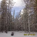  , , 61  -  10  2015   
