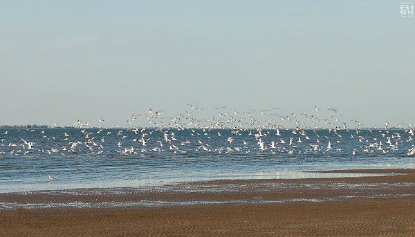    - 2  2015  16:06 - 2