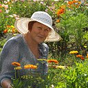 ���� �������, �������������, 69 ��� - ��������� 11 ������� 2015