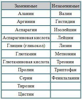 КРАТКОЕ ОПИСАНИЕ ОСНОВНЫХ ФУНКЦИЙ, КОТОРЫЕ ВЫПОЛНЯЮТ АМИНОКИСЛОТЫ В НАШЕМ ОРГАНИЗМЕ. Изолейцин – ...
