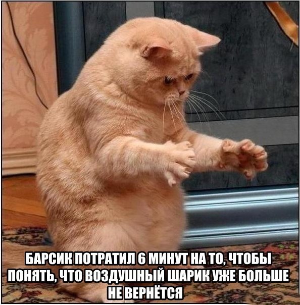   - 11  2015  19:33