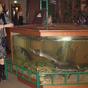 ,   !
 ,     !
 ,     !
 ,     !!!      