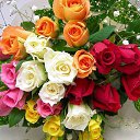 ���� Ani, ������ - ��������� 24 ������� 2015 � ������ ������...�