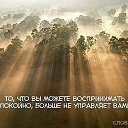 ���� ����, �����������, 61 ��� - ��������� 21 ������� 2015 � ������ ������ ��������