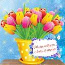 ���� �����, ����-�����������, 51 ��� - ��������� 8 ����� 2016 � ������ ����������� ��� ��������
