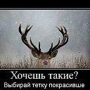 ���� ����, �������� - ��������� 6 ������� 2015 � ������ ������ ��������