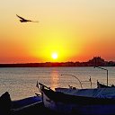  , , 75  -  17  2015     Ȼ