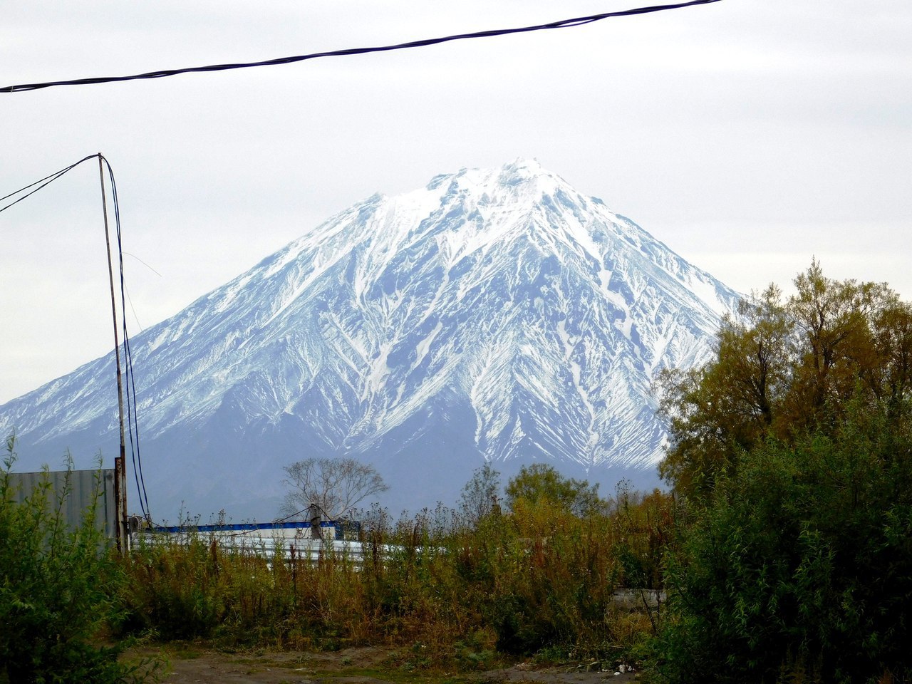    2015 .