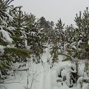 ���� ������, ���������� - ��������� 1 ������� 2015