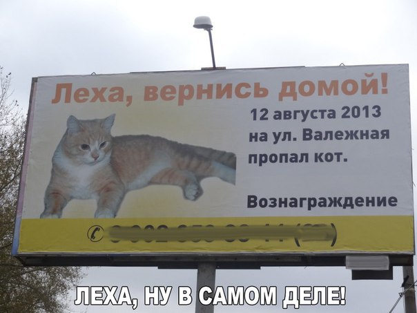    :D - 29  2016  07:36
