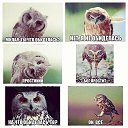 ���� ����, ������ ��������, 46 ��� - ��������� 18 ������� 2015 � ������ ���� ����������