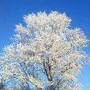 ���� ����, ����������� - ��������� 18 ������� 2016 � ������ ���� ����������