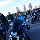 �������� ���������� 2015 �� ������� �������