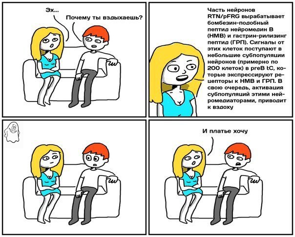  ,   .