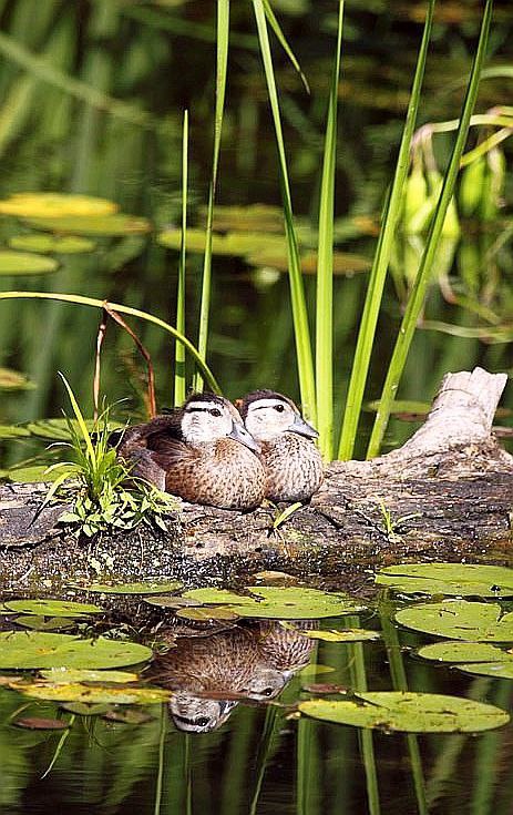   - 25  2015  09:59 - 2