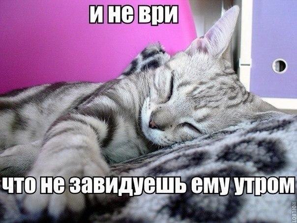    - 10  2015  18:10