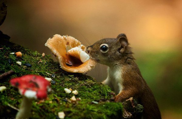   - 16  2015  18:09 - 5