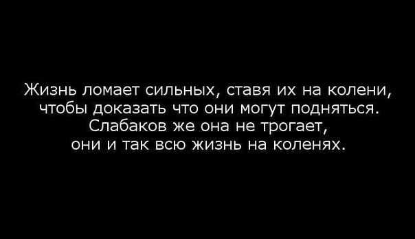 Dima - 8  2015  10:08
