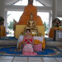 ������� 2015. �� ������� ���� ����������