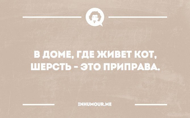   - 18  2016  06:33