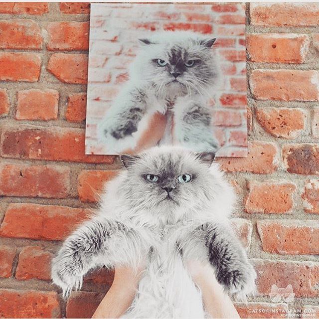 � ����� �������� ����������� ��������� ��������� ��� #������������� #���������� #�����������