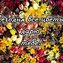 ���� ������, ����-��������� - ��������� 3 ������� 2015 � ������ �������� ��������