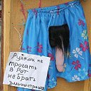 ���� ���, ���������, 41 ��� - ��������� 8 ������ 2015 � ������ ���� ����������