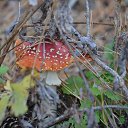 ���� �, �������� - ��������� 12 ������� 2015 � ������ ���������