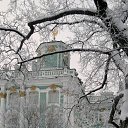 ������ �����! �� ������� ������. 17.01.2016�