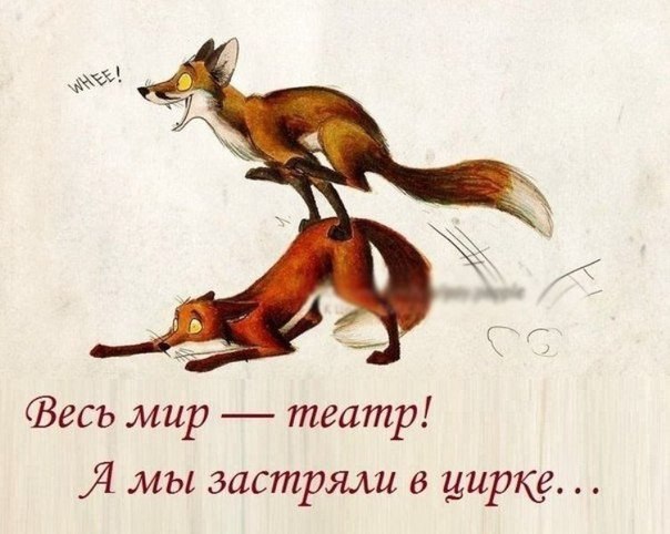  - ,  - 18  2015  12:44