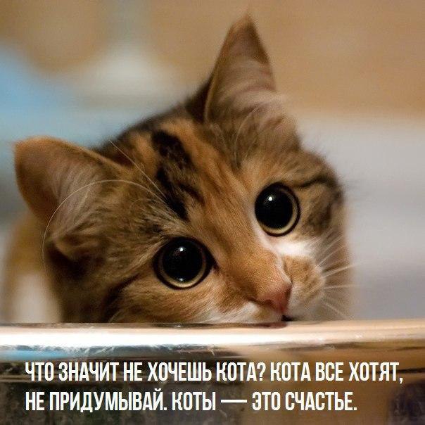       - 20  2016  11:06