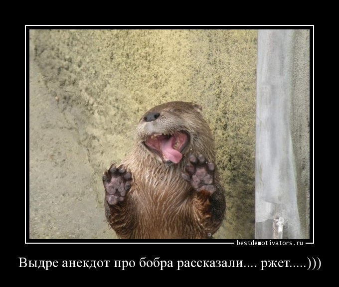 ***Victoria Viktorovna*** - 1  2016  07:12