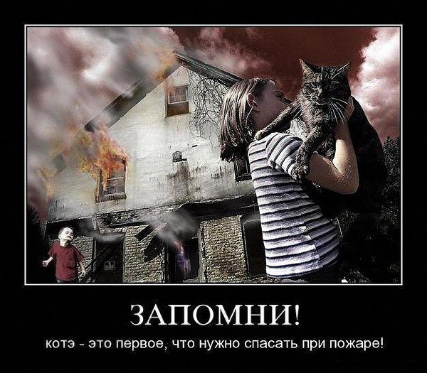 - 23  2015  10:11