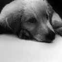 ���� ����, ���������, 52 ���� - ��������� 14 ������� 2015 � ������ ���� ����������