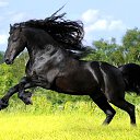 ���� �����, ������ �������� - ��������� 20 ������� 2016 � ������ �������