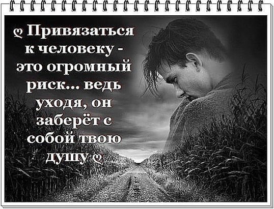 Rostislav (Ross) Zaugarov - 25  2015  15:18