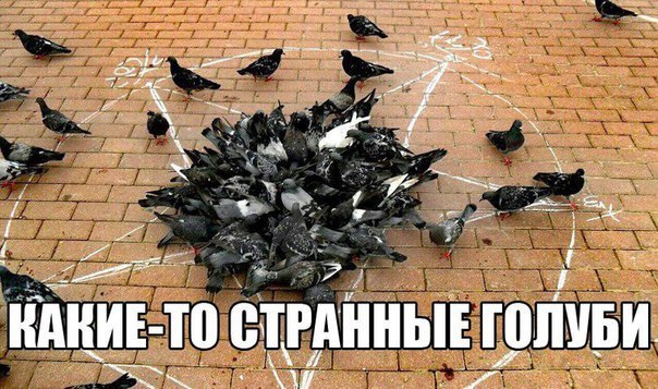   - 27  2015  01:30