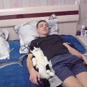 ���� �������, ���������, 42 ���� - ��������� 23 ������ 2016 � ������ ���� ����������