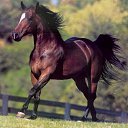   ., , 44  -  21  2015    .