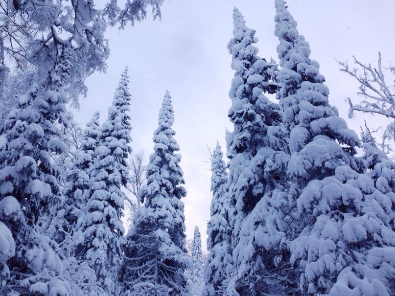 Krasnoyarsk Stolby, National Park. 12/15 - 3
