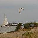 ���� ���������, ��������� - ��������� 8 ������� 2016 � ������ ������� ������ 2015�