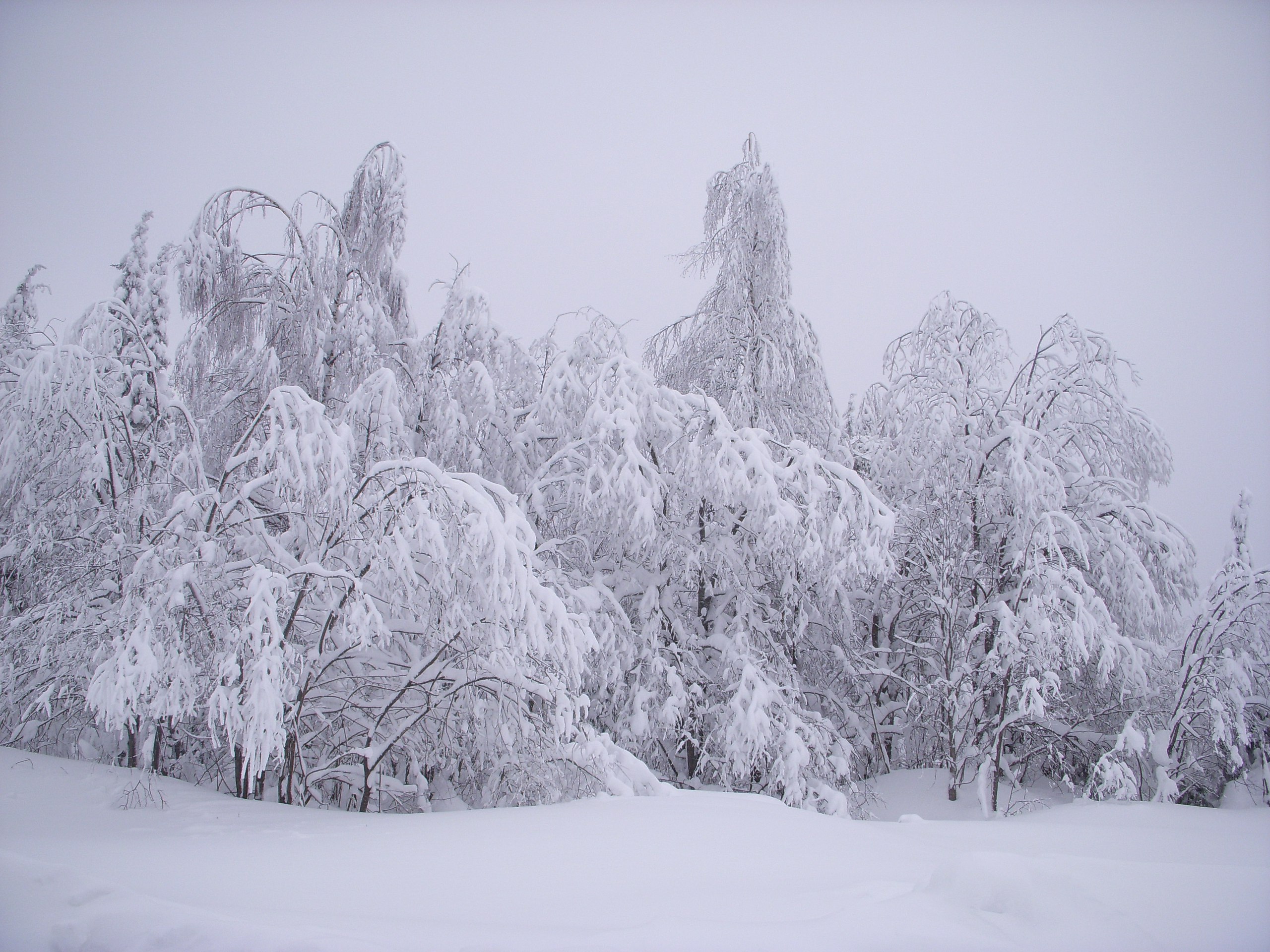 � �����...����� ���� ��������...� �������� ����� ������ ����...�� ���� ������� ��� ...