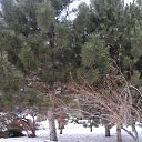 ���� ������, �����, 59 ��� - ��������� 11 ������ 2016 � ������ ���� ����������