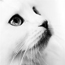 ���� ����, ������, 25 ��� - ��������� 1 ������ 2016 � ������ ������ ��������