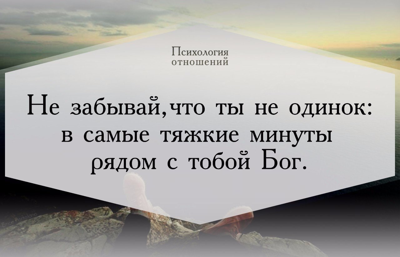   - 11  2016  13:19